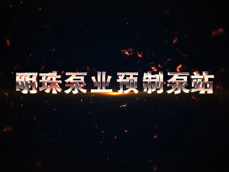 明珠泵業(yè)成都火車西站下穿隧道預制泵站安裝工程
